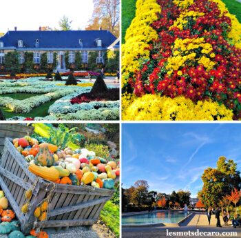 4 vues différentes du jardin des plantes de Rouen à l'automne